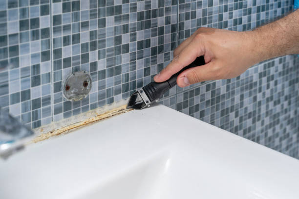 Best Mold Cleaning Services  in Lakeview, CA