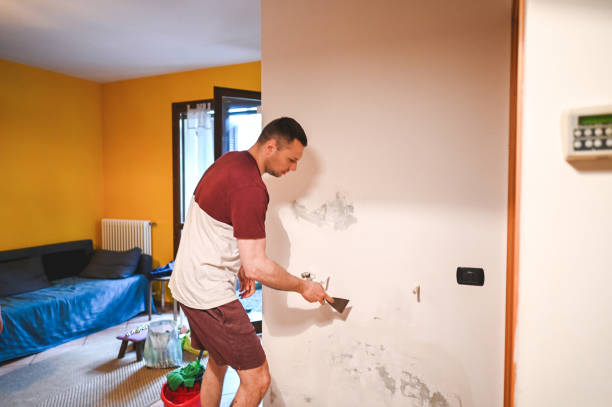 Best Mold Testing  in Lakeview, CA